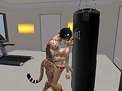 A Sexually Aroused Cat At The Gym